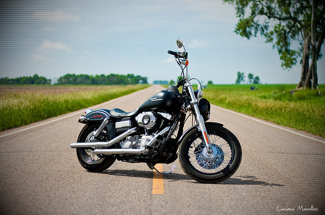Harley Davidson On the Road